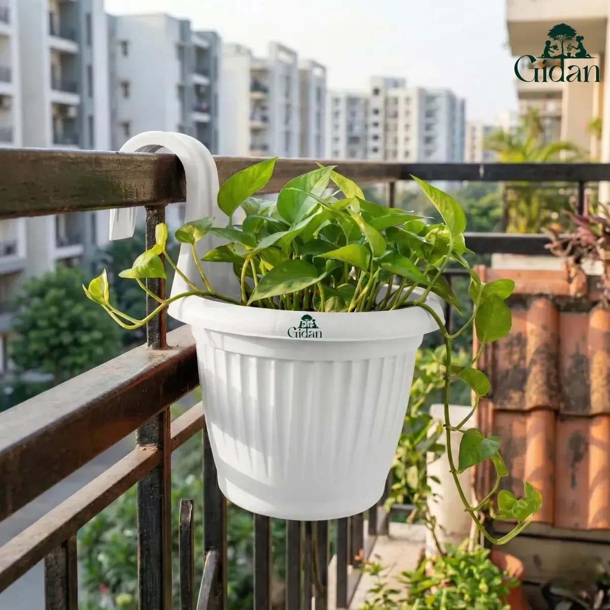 Bello Hook Pot (Set of 5pcs) hover