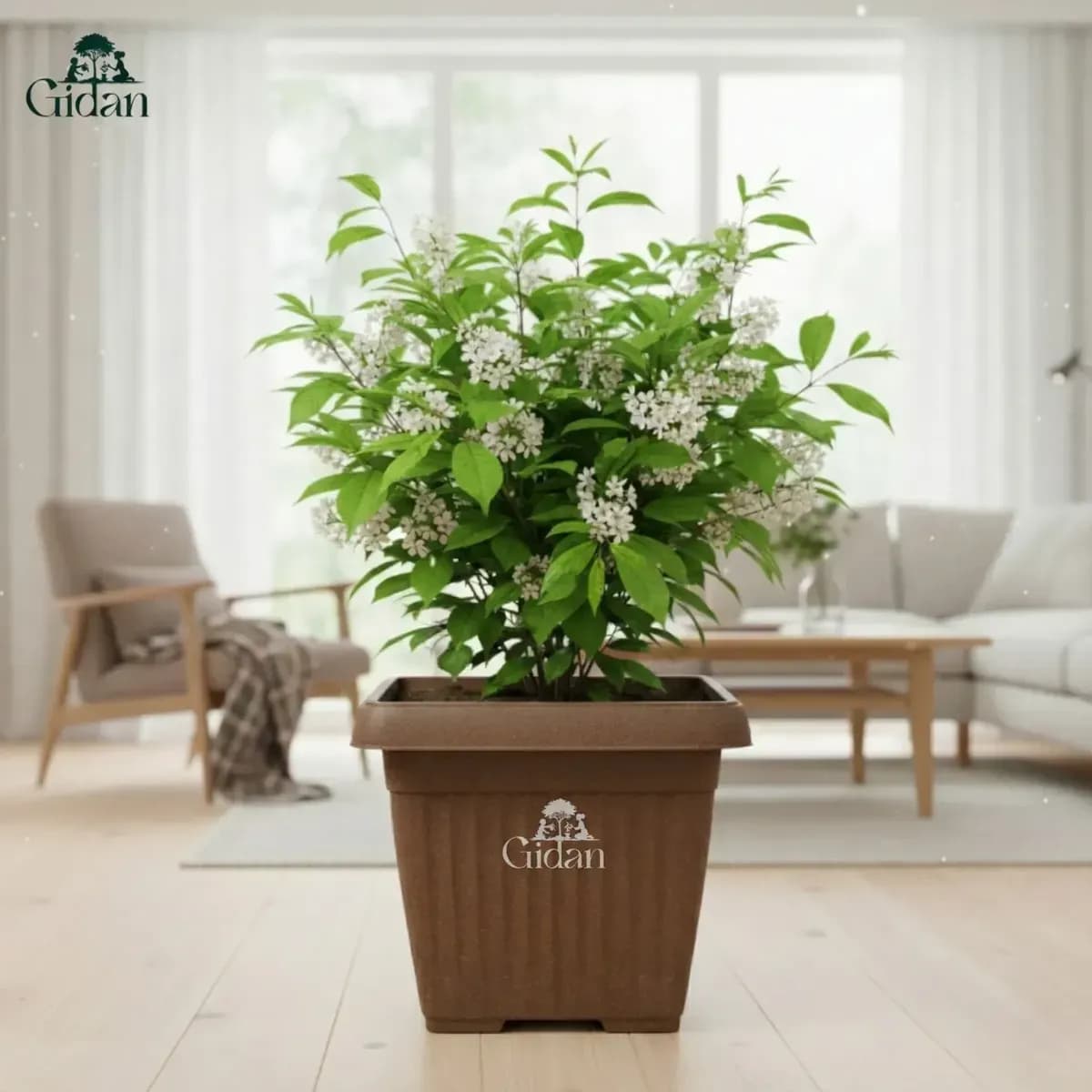 Bello Square Planter hover