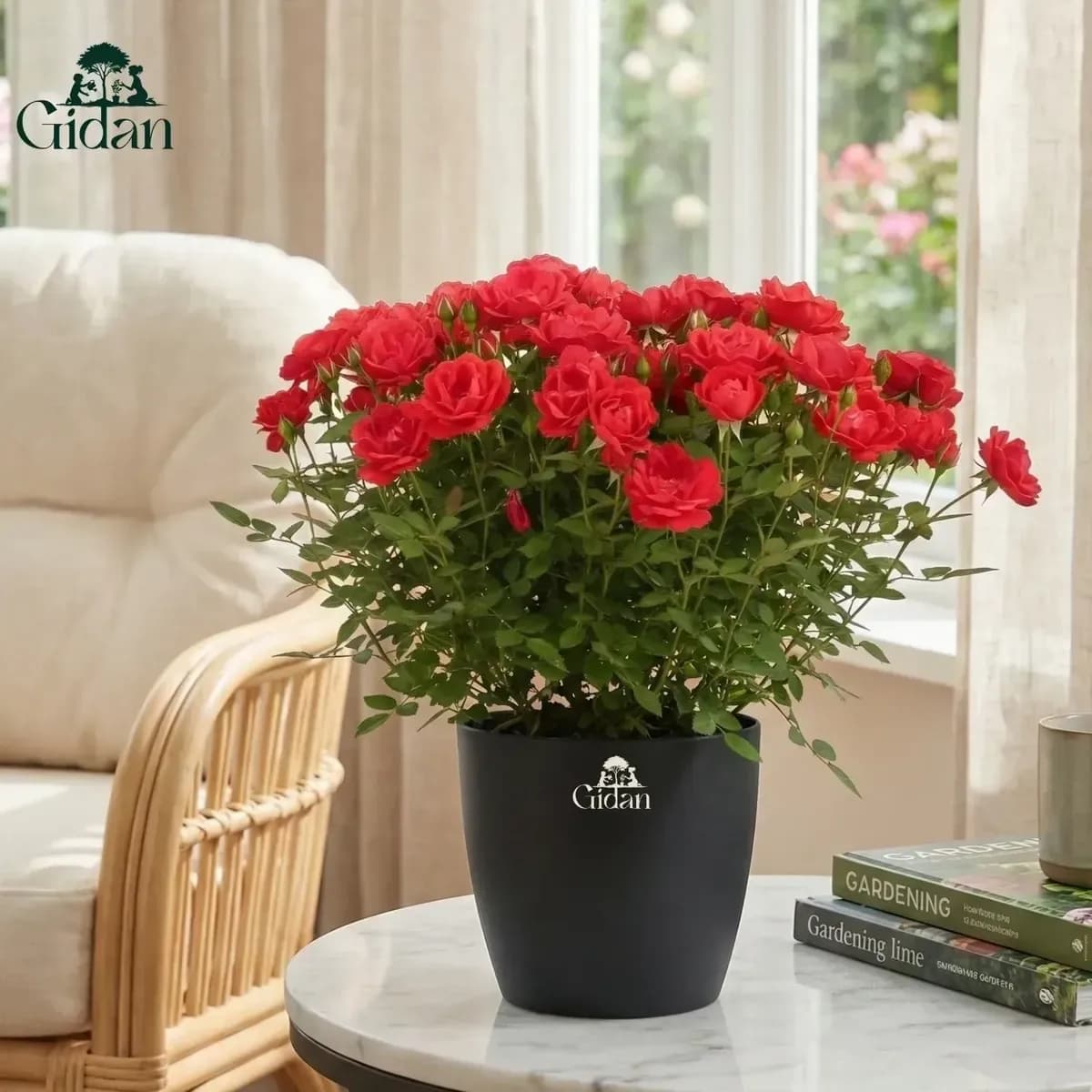 Button Rose (Red) hover