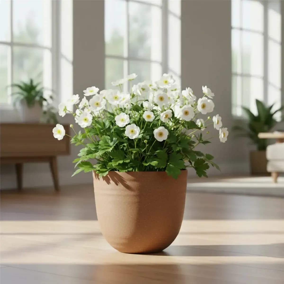 Verona Eco Planter hover