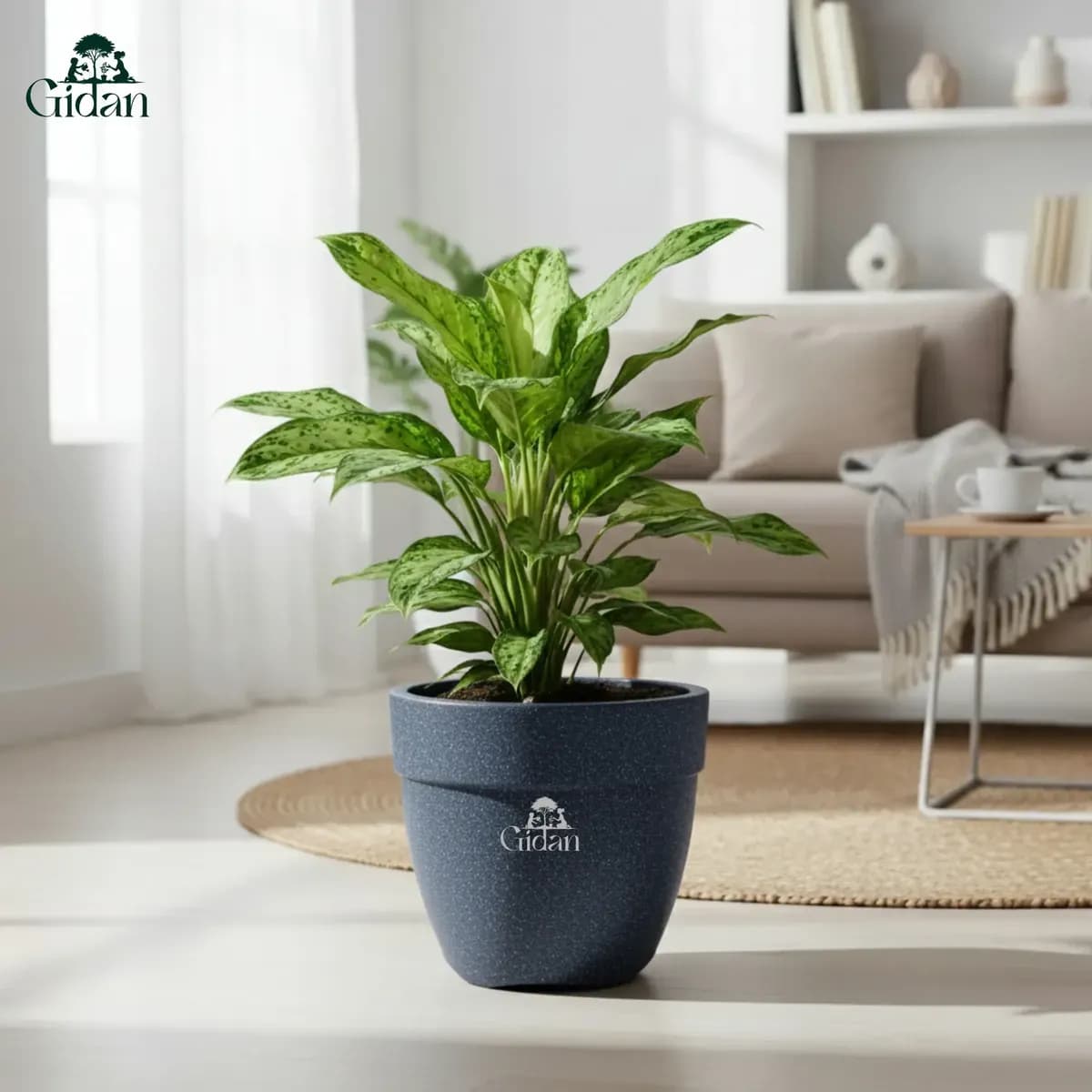 Barca Round Planter