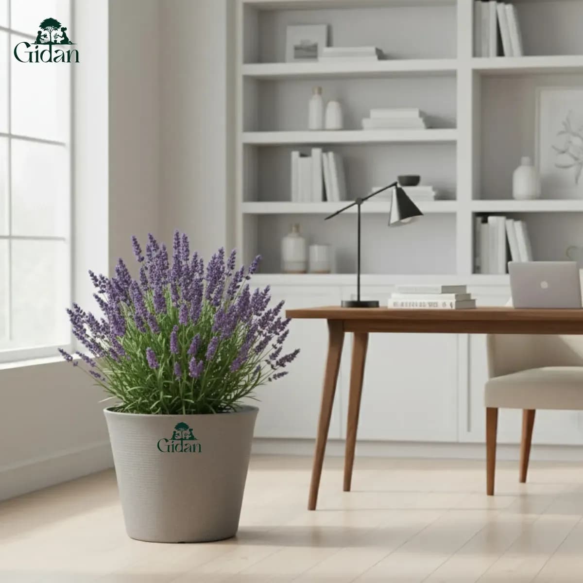 Eva Planter
