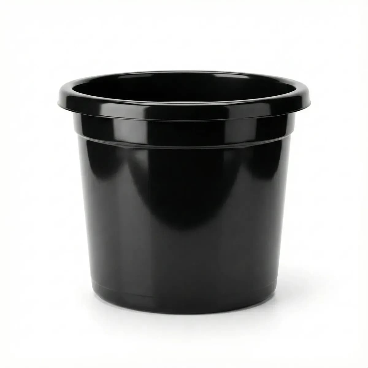 Evergreen Pot