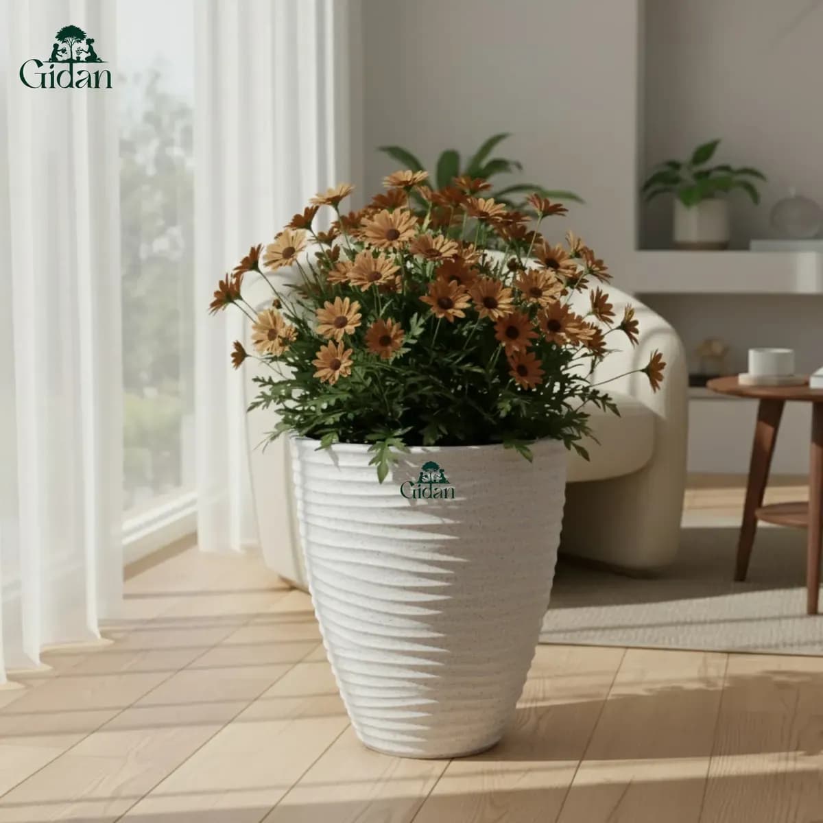 Havana Planter