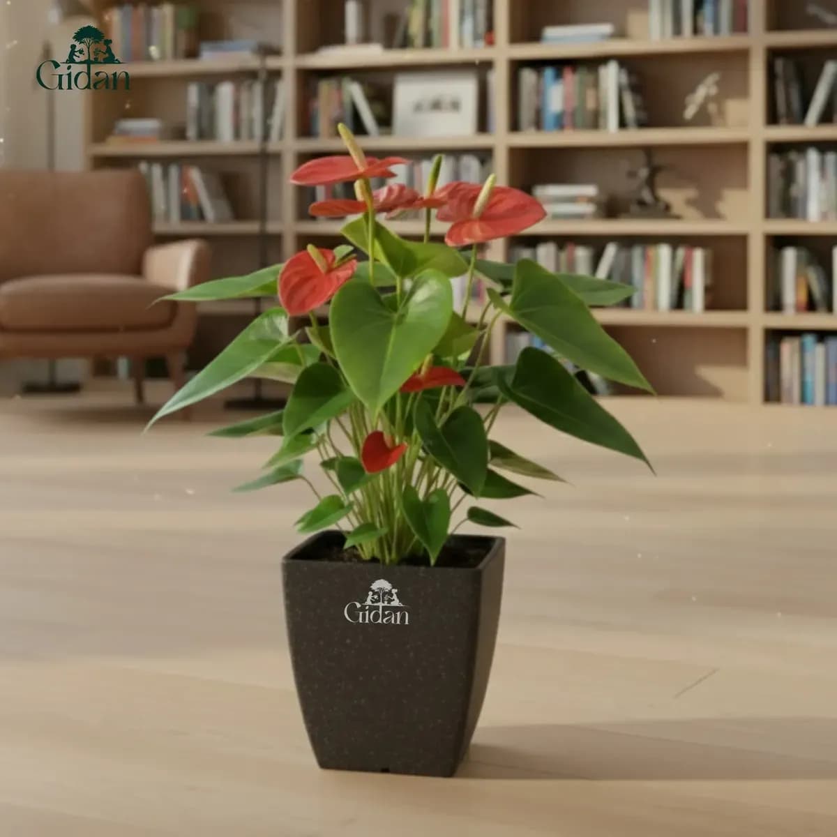 Lara Square Planter