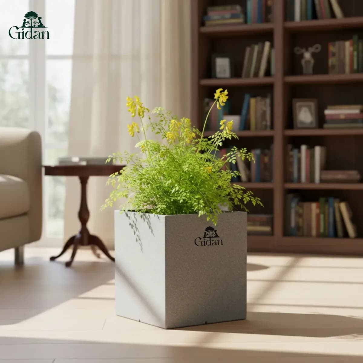 Quebec Planter