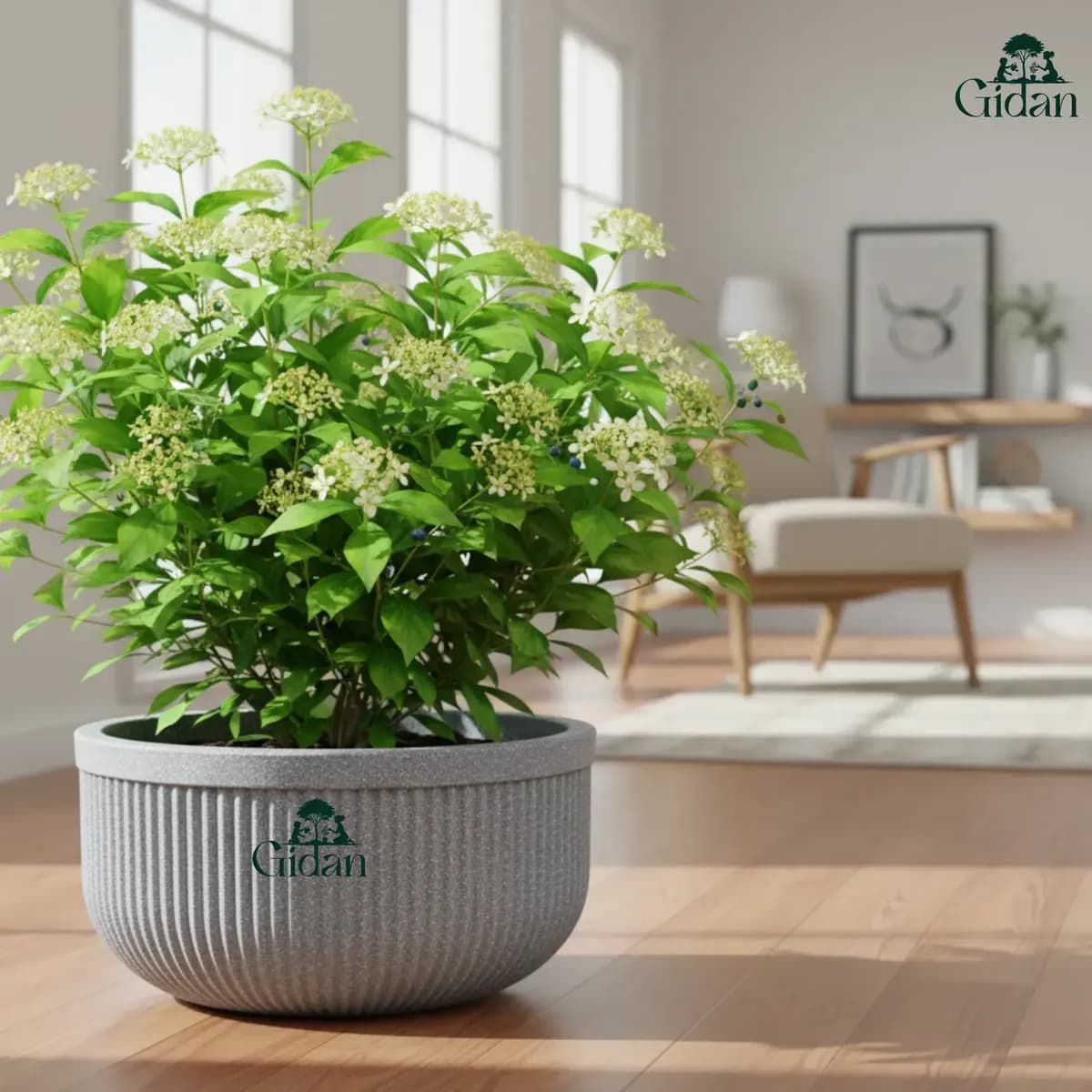 Tokyo Bowl Planter