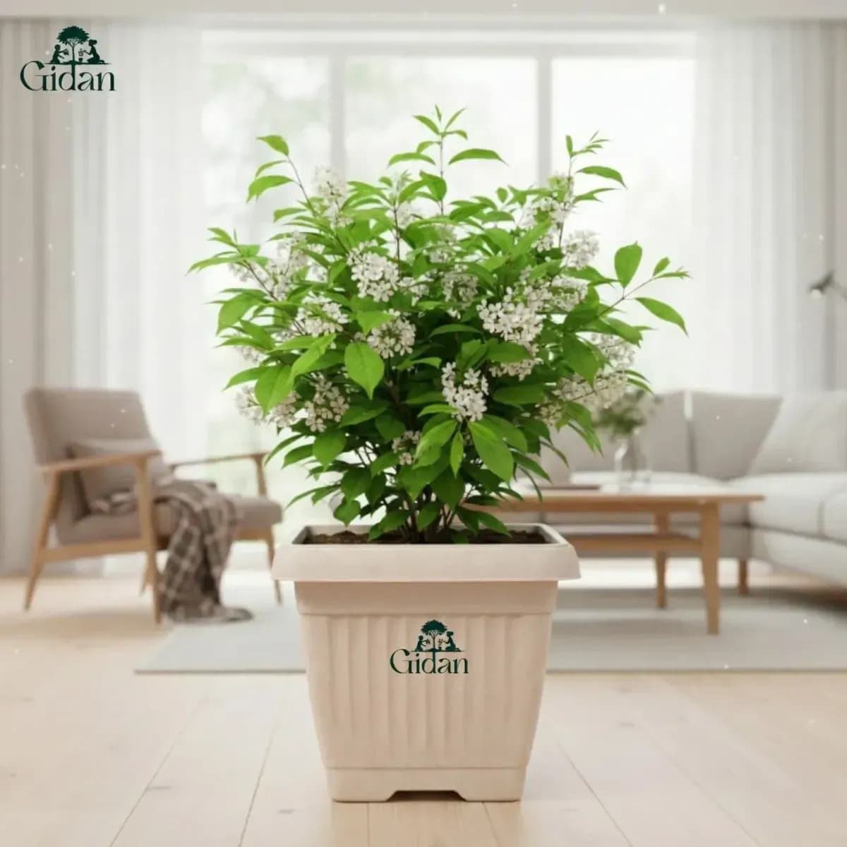 Bello Square Planter