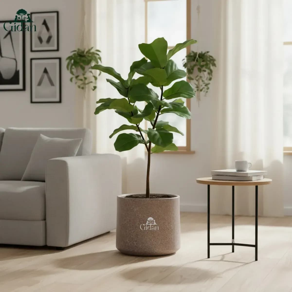 Albero Planter