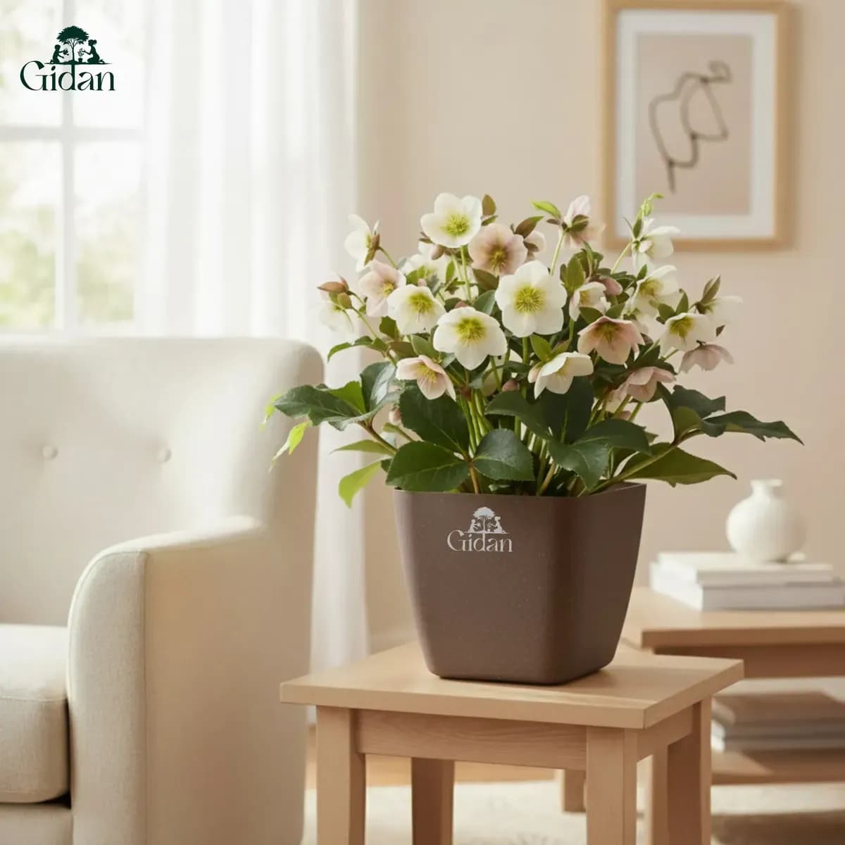 Siena Eco (Set of 2)