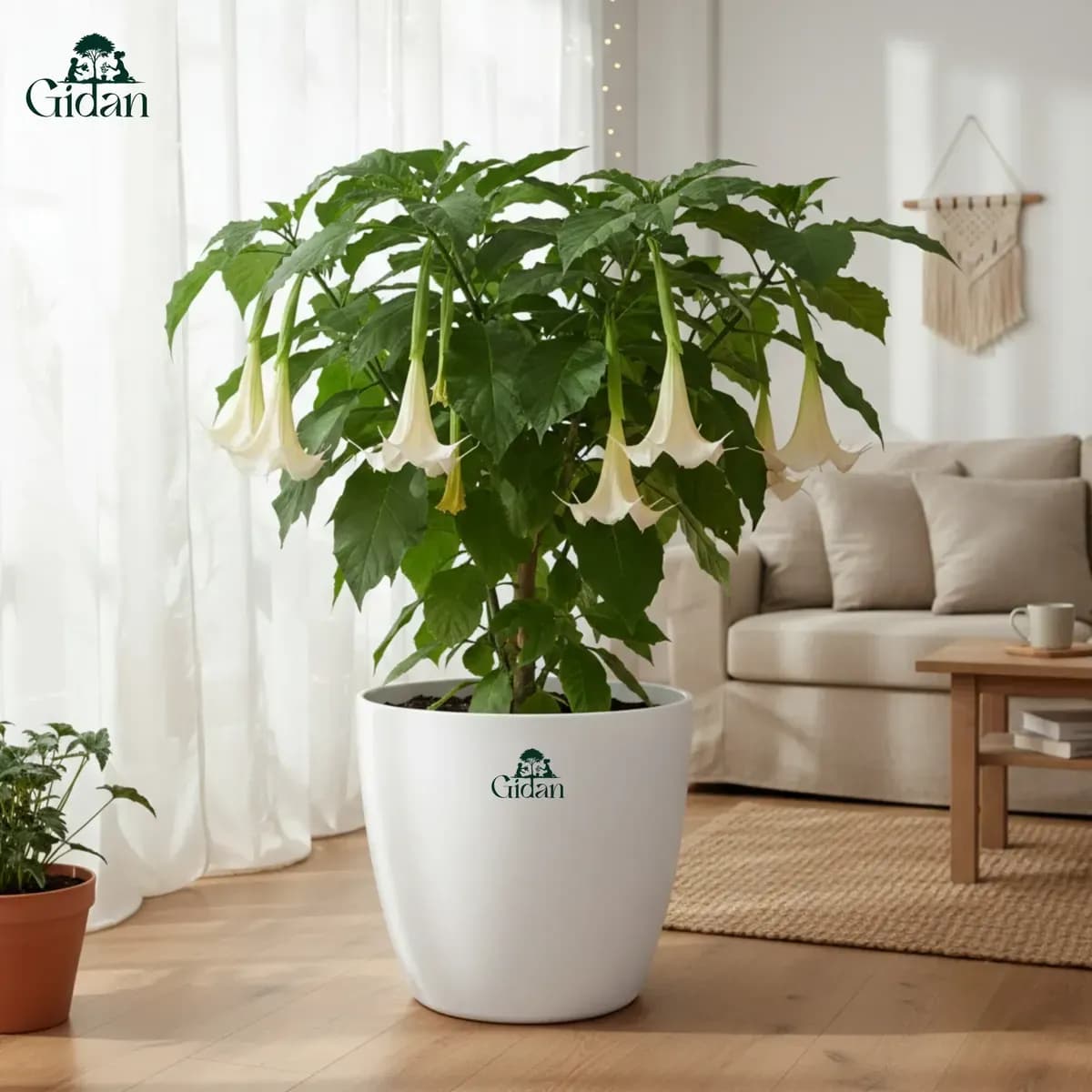 Valencia Wheels Planter