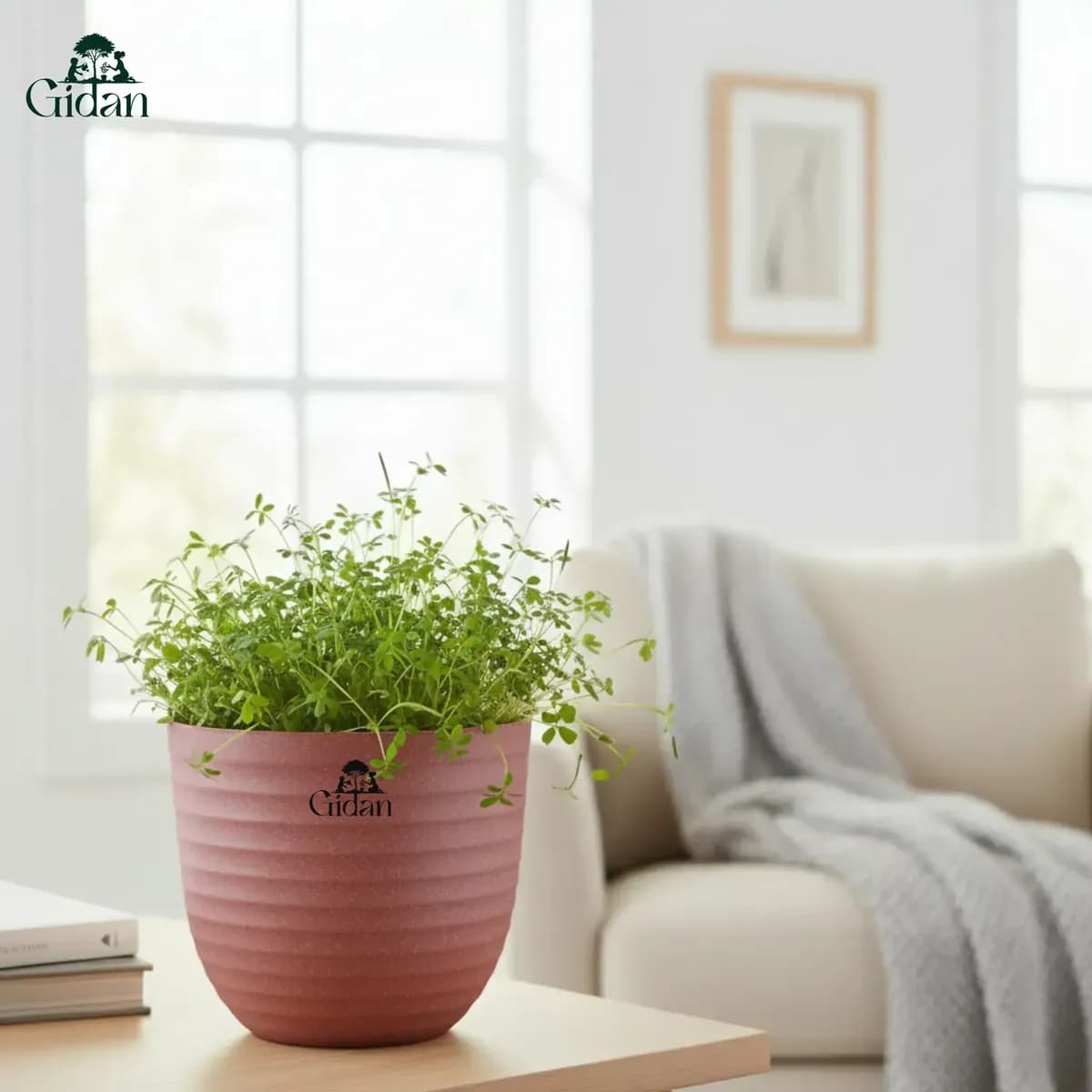 Verona Eco Planter (Set of 5)