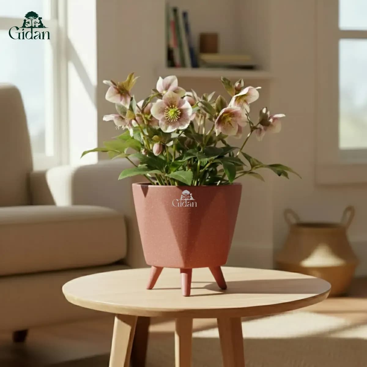 Lagos Pot (Set of 5)