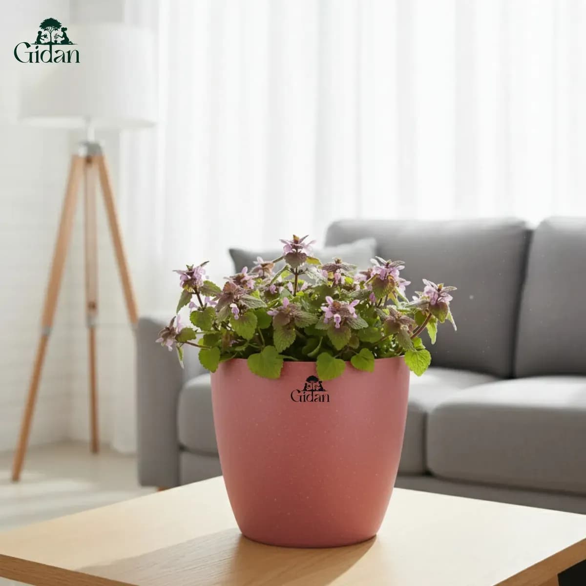 Valencia Eco Planter (Set of 5)