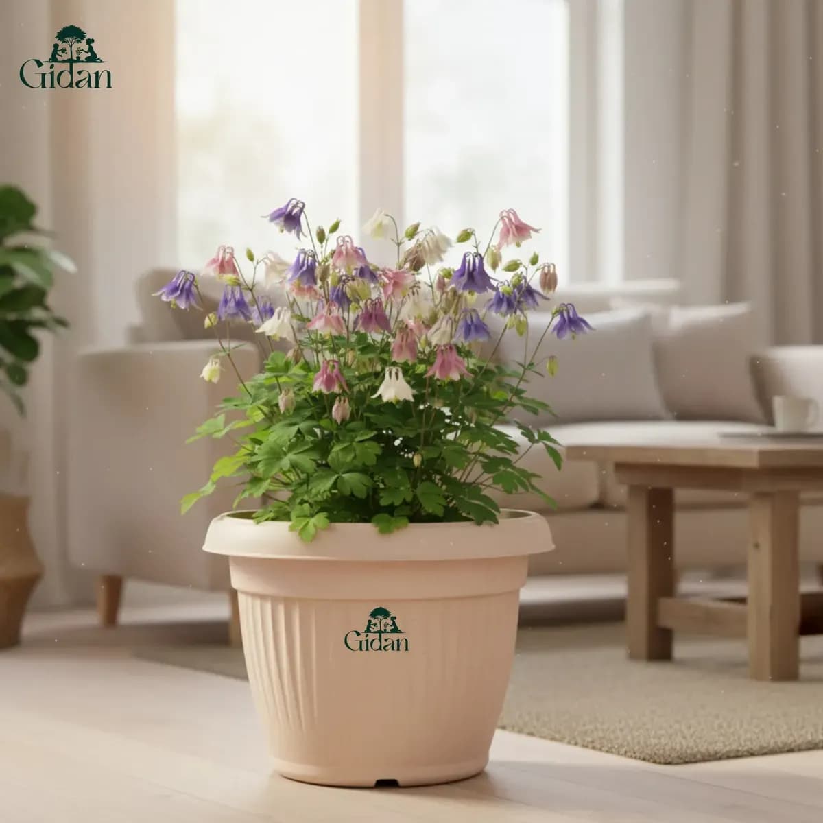 Bello Round (Set of 2)