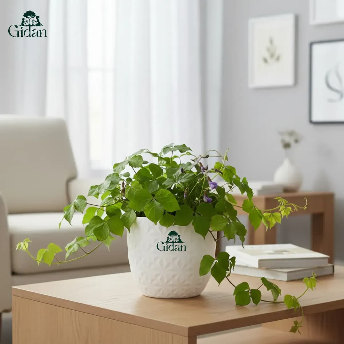 Verona Diamond Planter