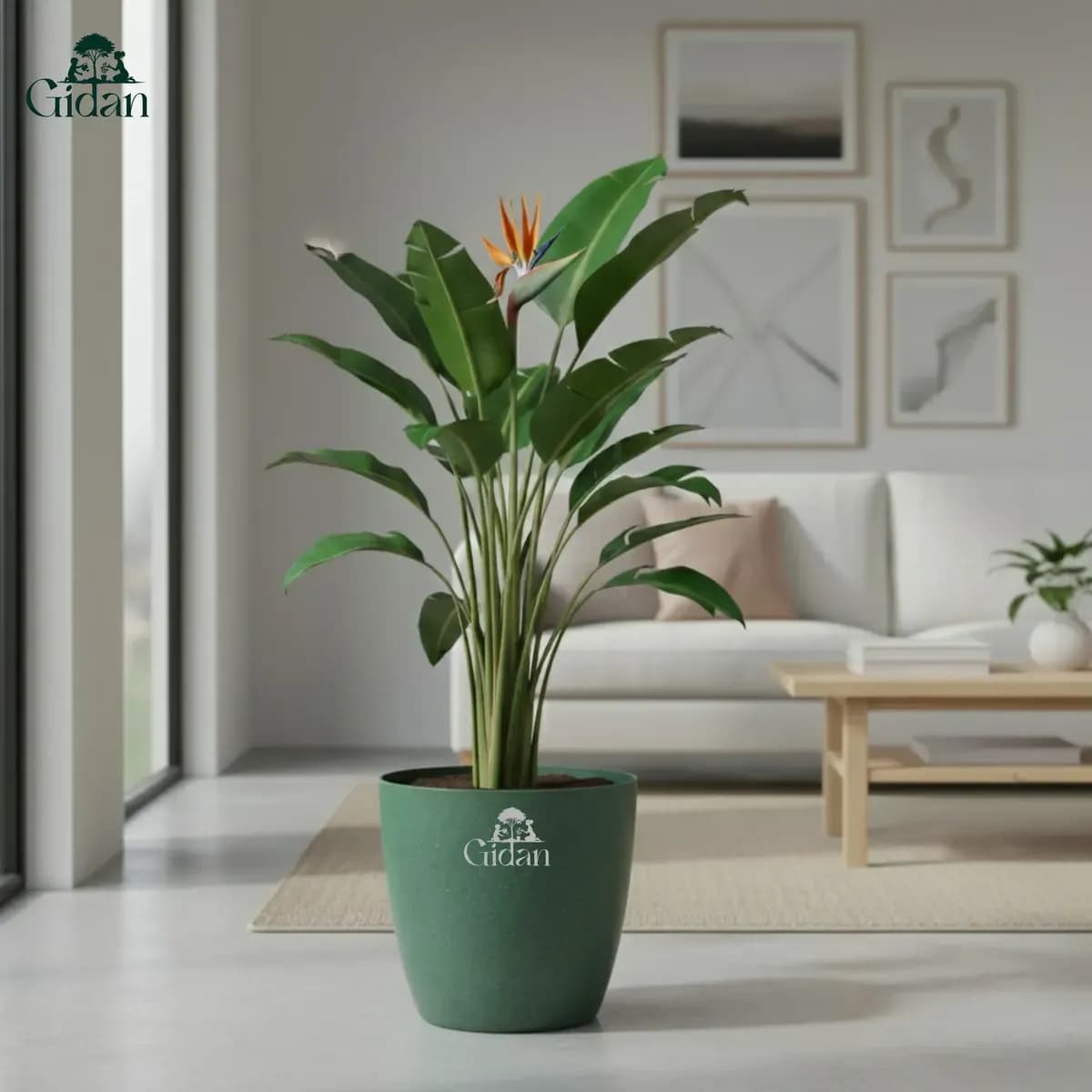 Harshdeep Valencia Eco Pot (Set of 2)