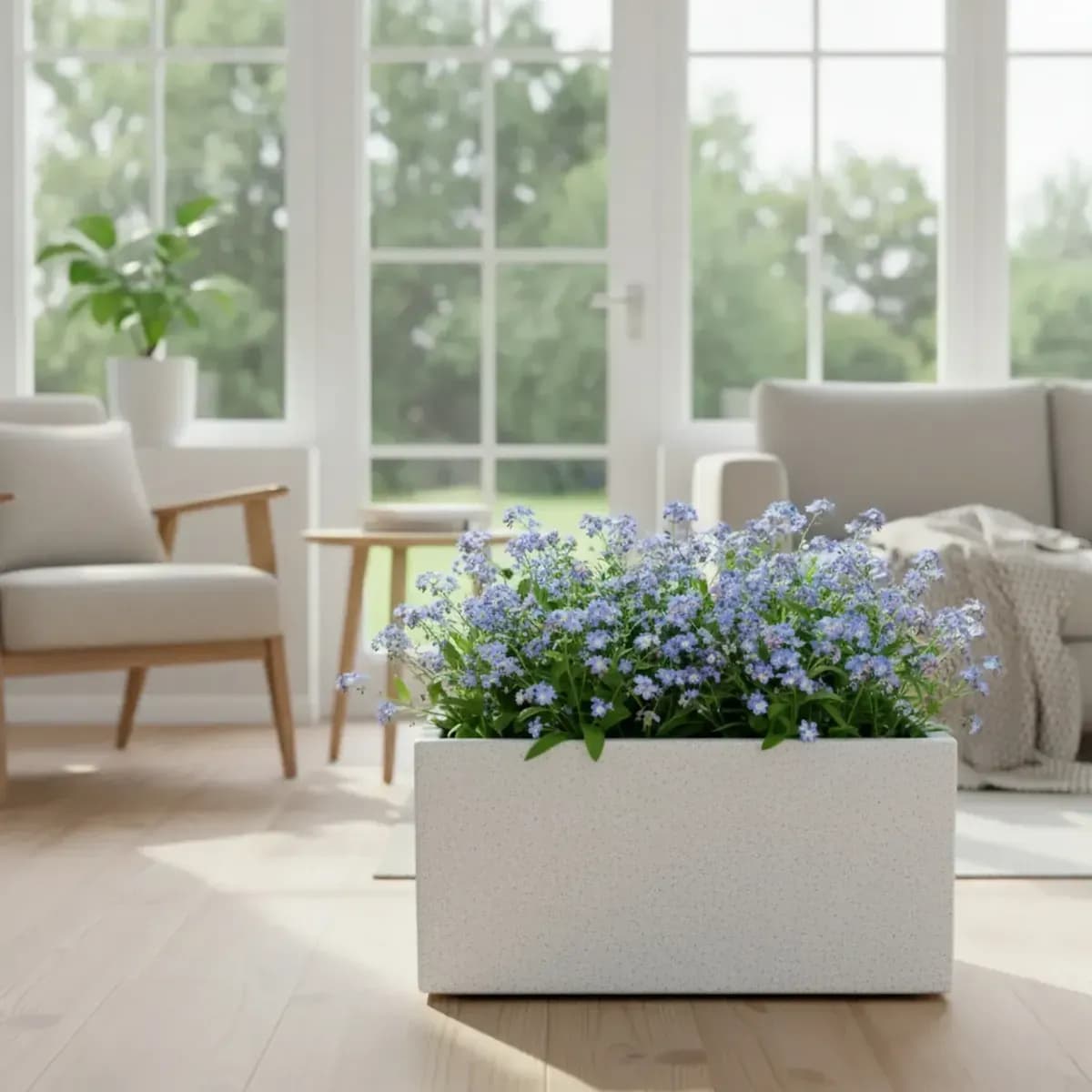 Quebec Rectangle Planter hover