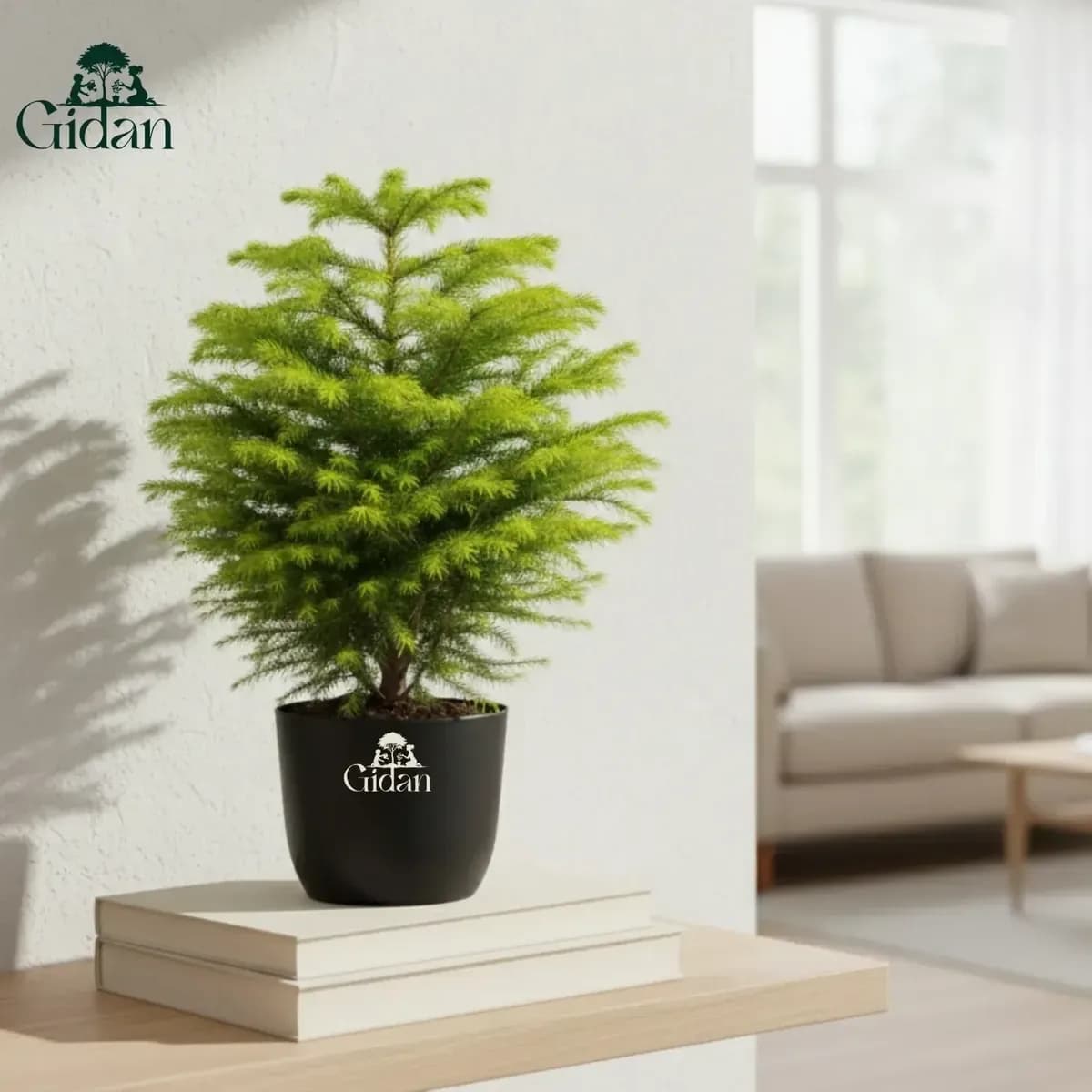 Christmas Tree hover