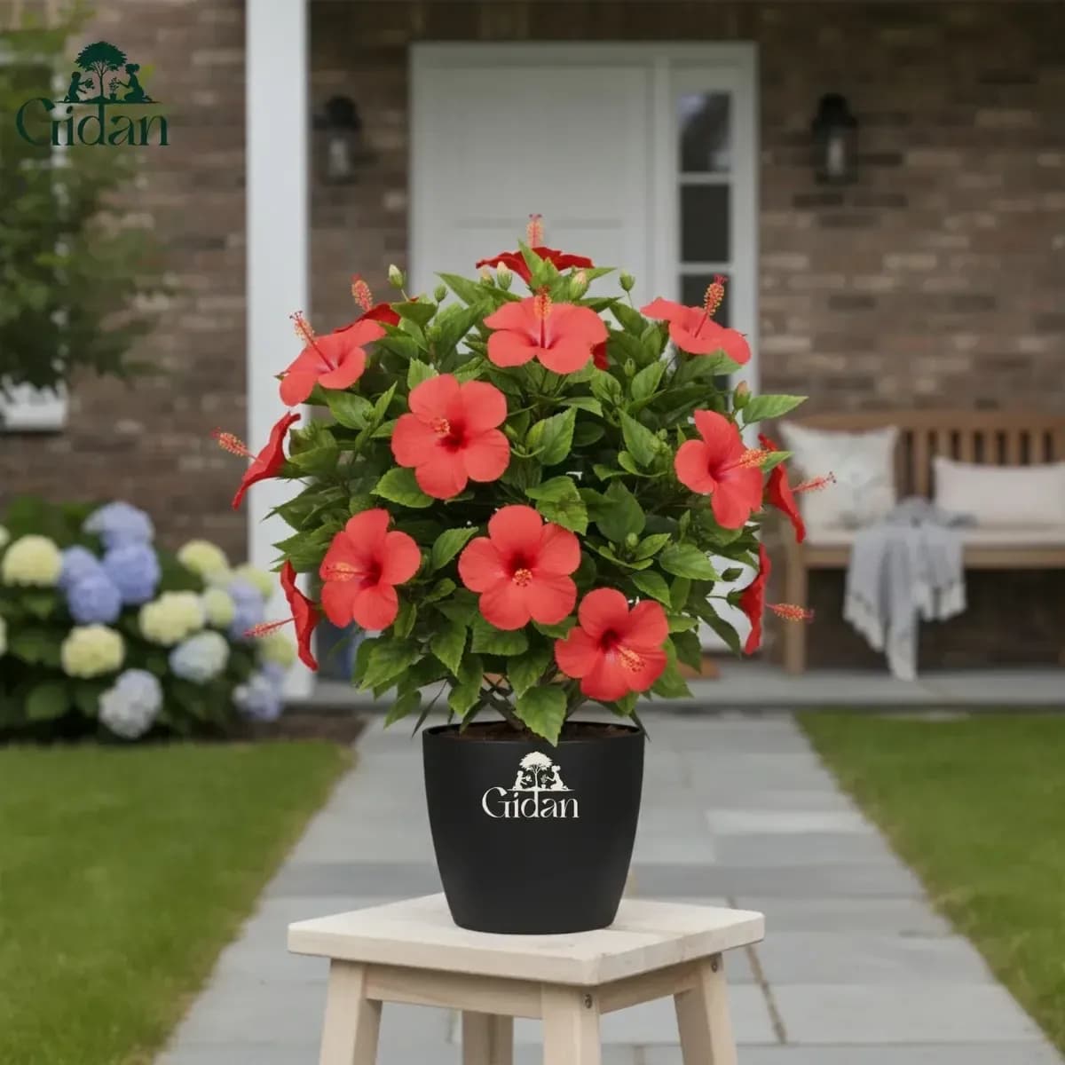 Hibiscus (Red) hover