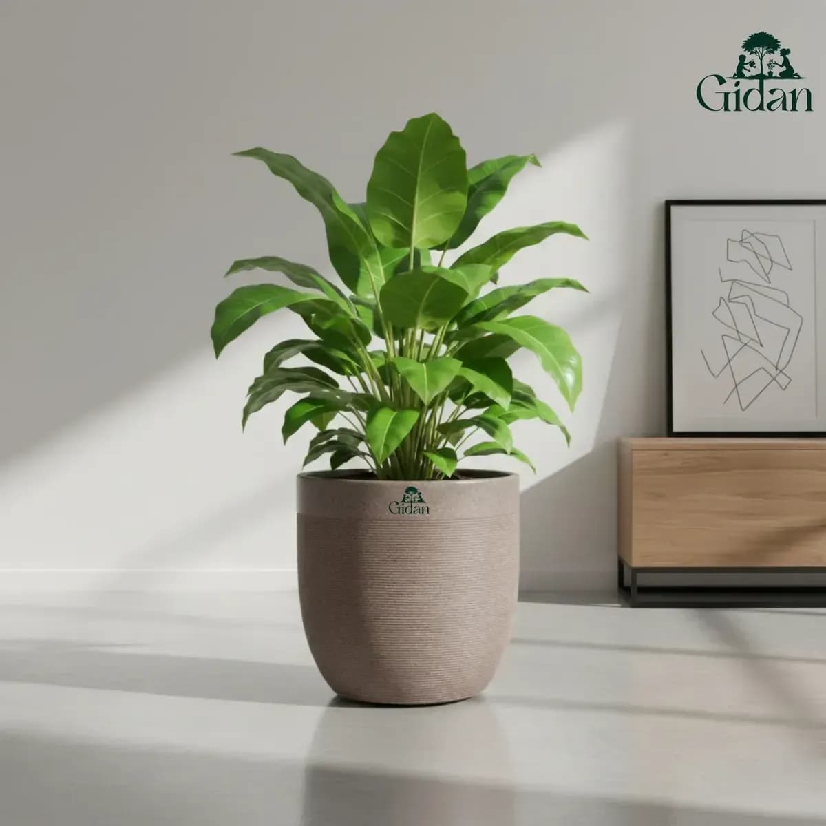 Milano Planter hover