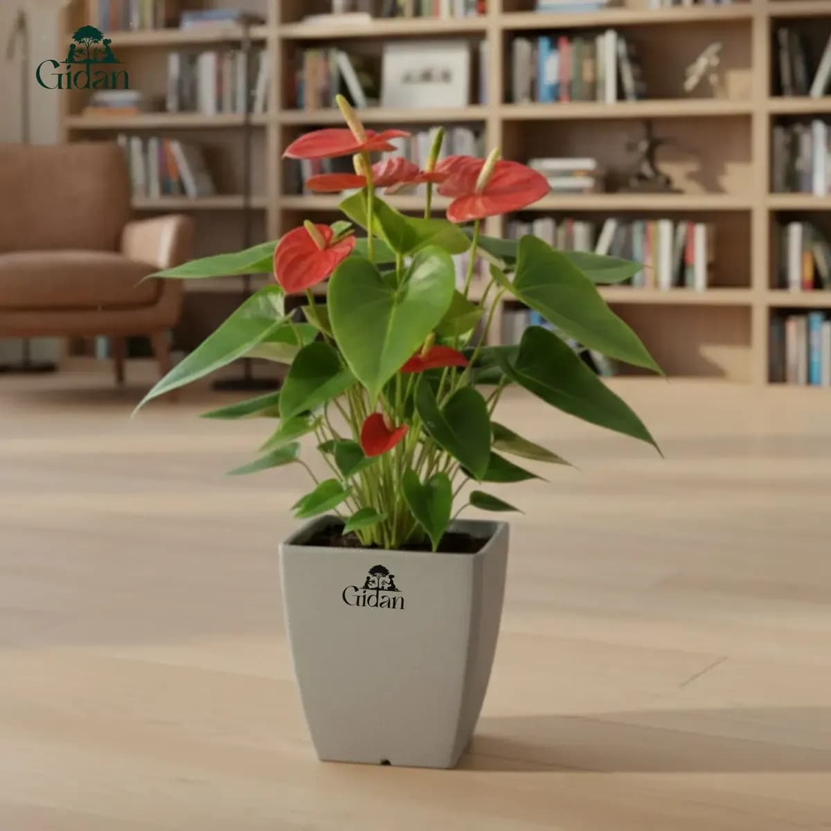 Lara Square Planter hover