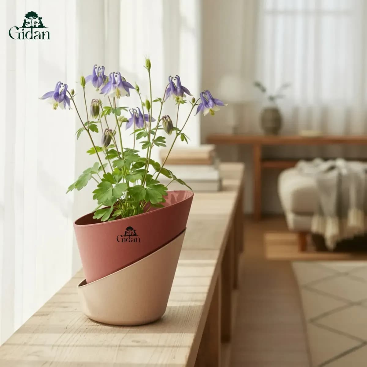 Atlantis Big (Set of 2) hover