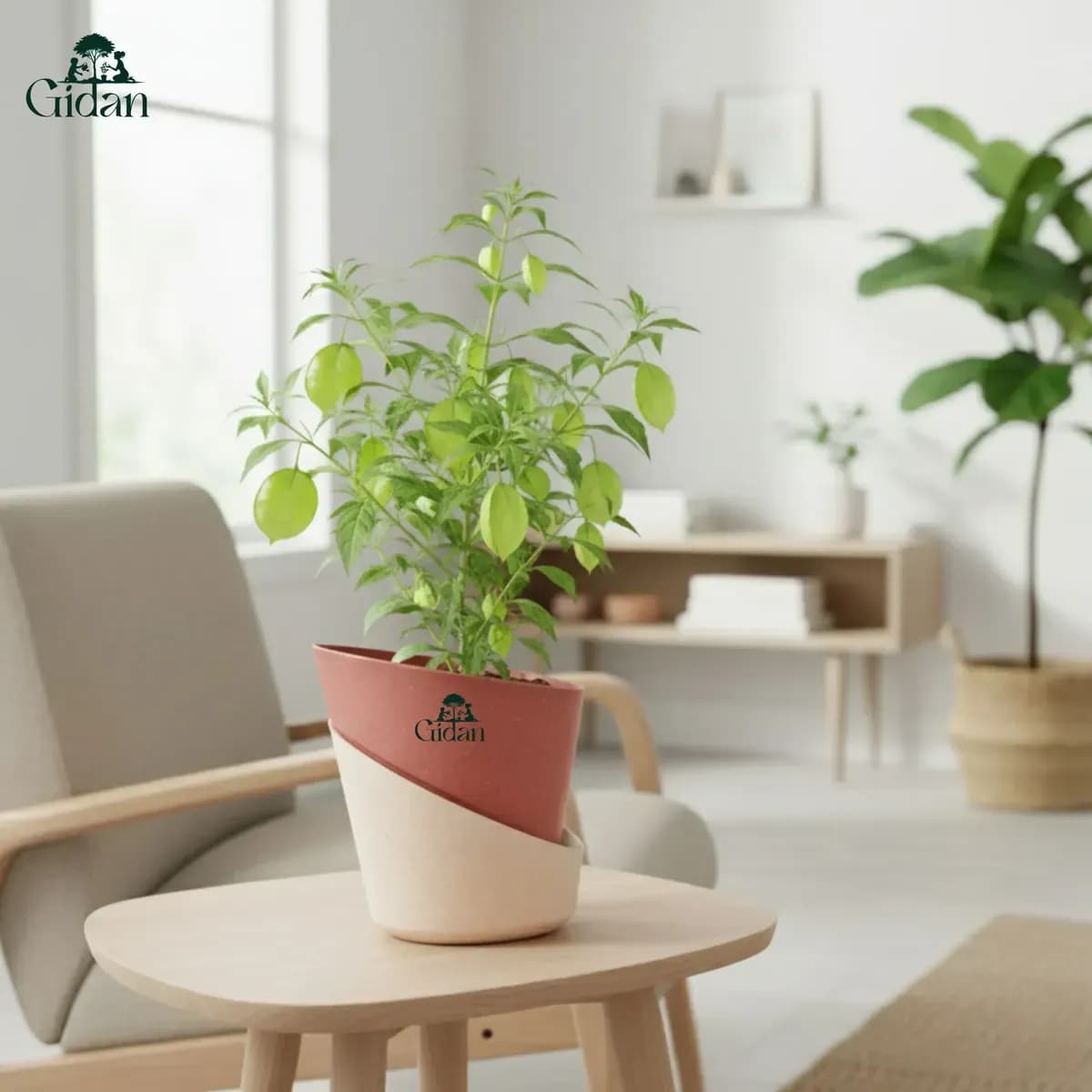 Atlantis Small (Set of 5) hover