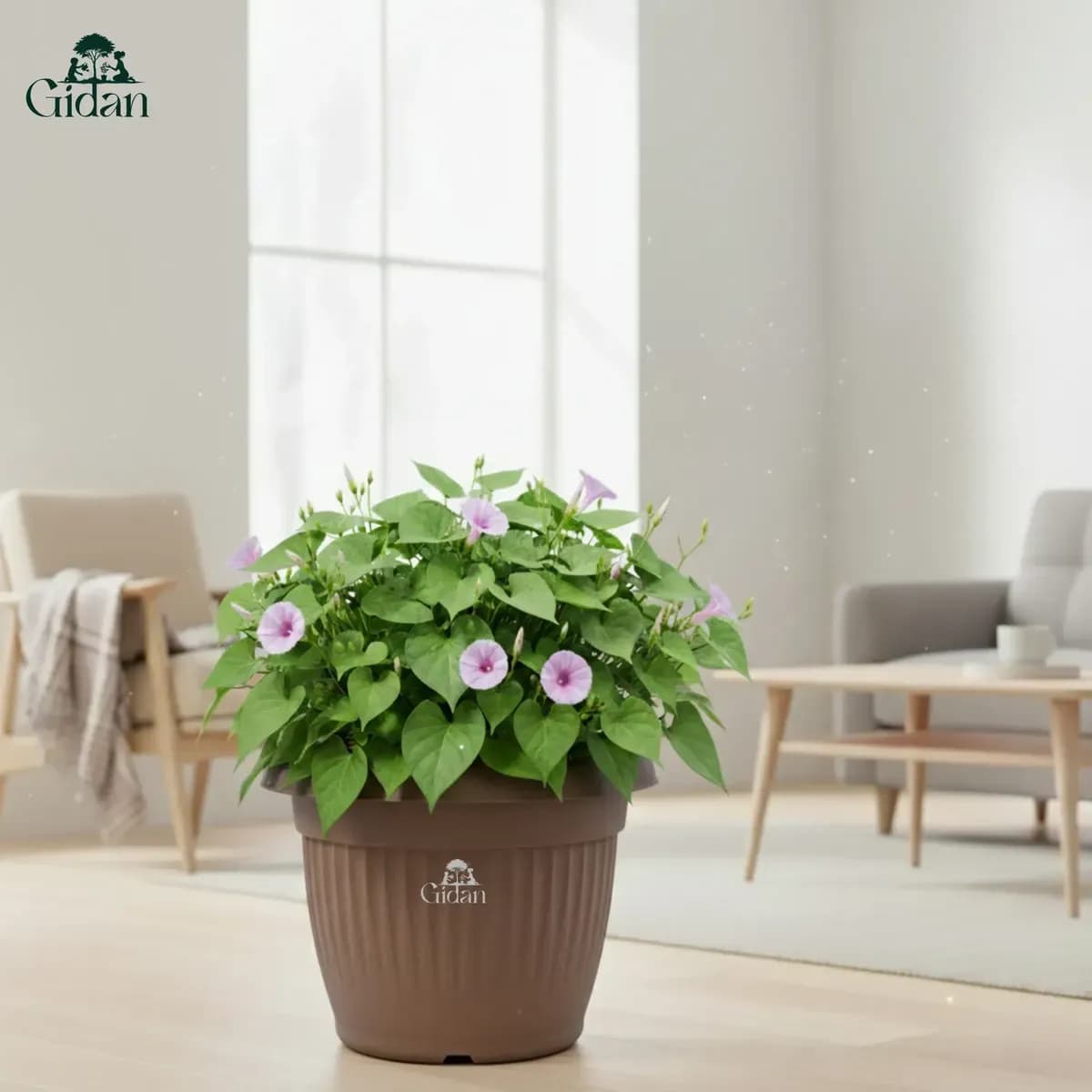 Bello Round (Set of 2) hover