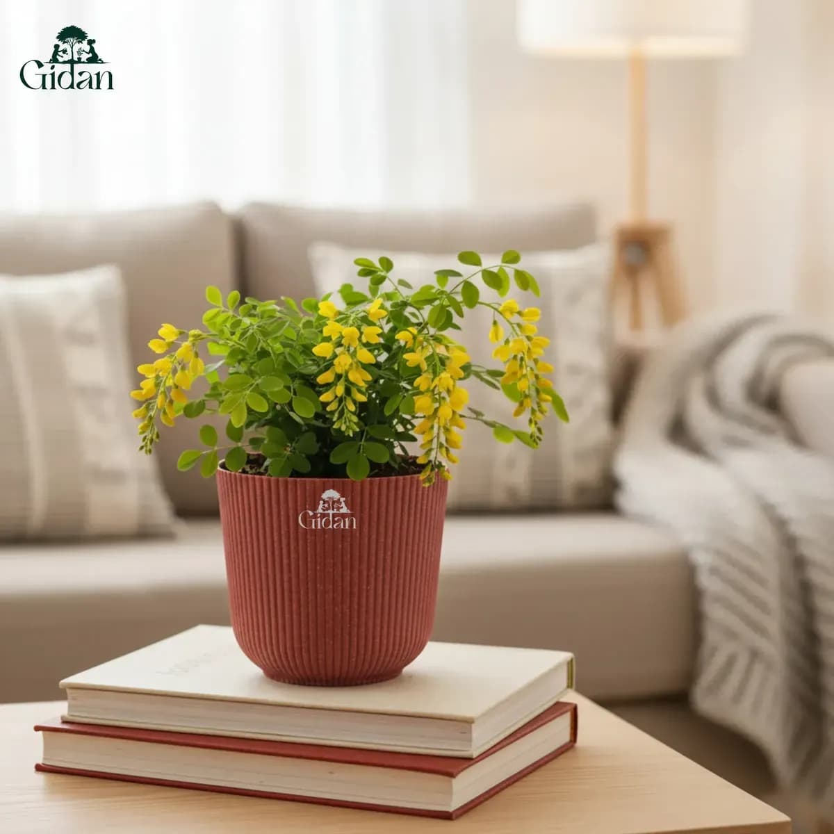 Ibiza Eco Pot (Set of 5) hover