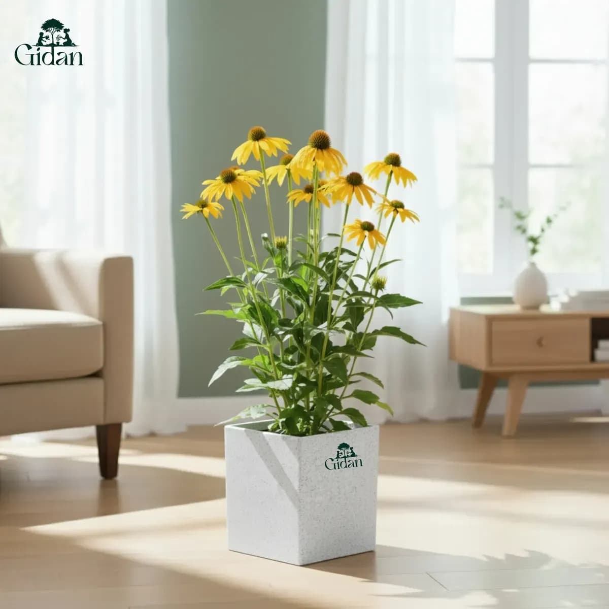 Quebec Planter hover