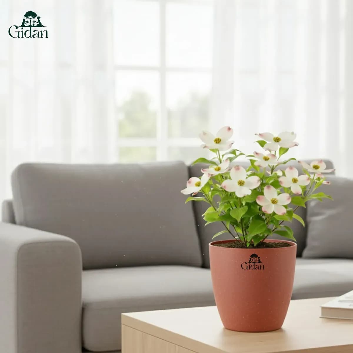 Valencia Eco Planter (Set of 5) hover