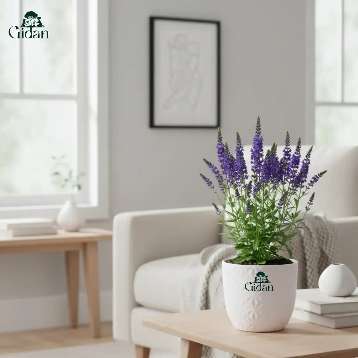 Verona Diamond Planter hover