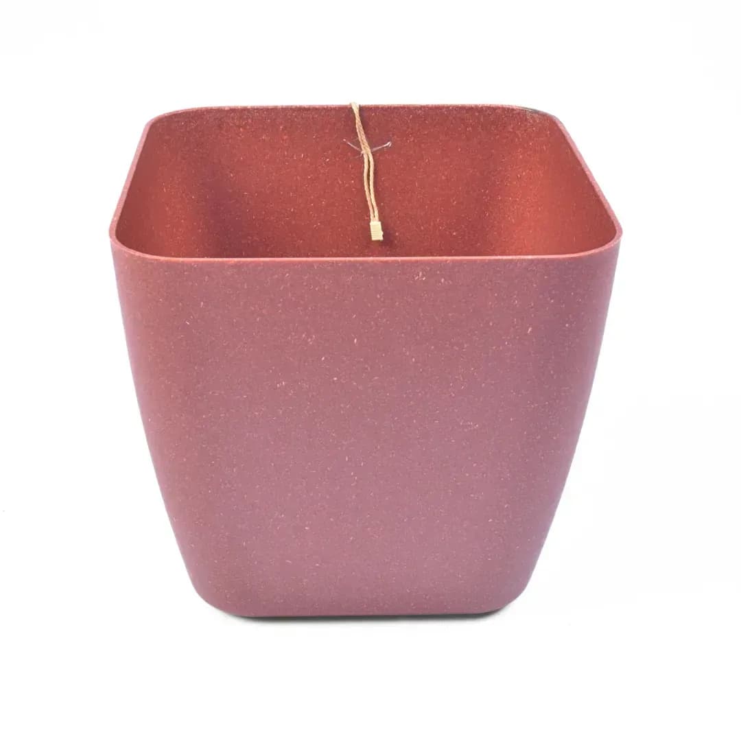 Siena Eco (Set of 2) hover