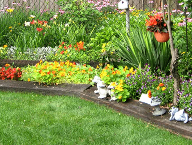 About Gidan Illustration